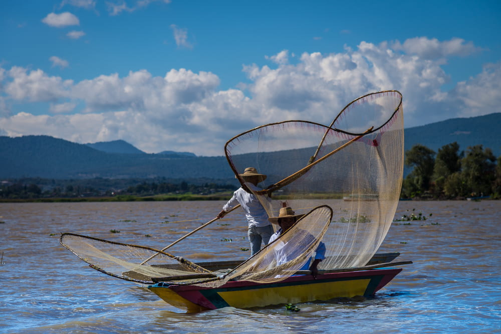 A Fisherman’s Guide to Mexico: The Best Places for Angling