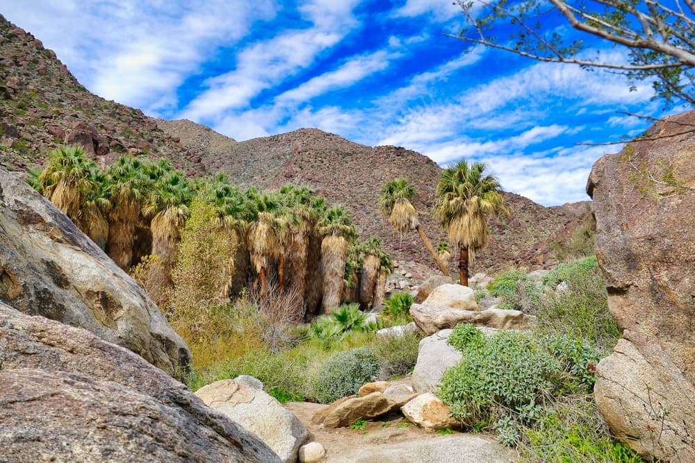 Your Guide to Visiting San Ysidro