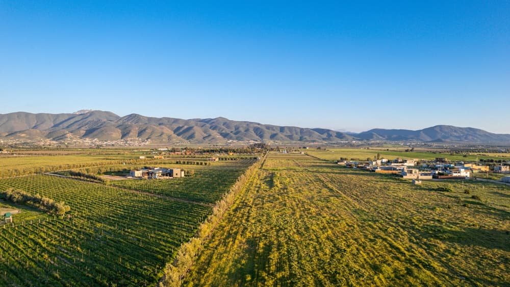 Road Trip Through Valle de Guadalupe