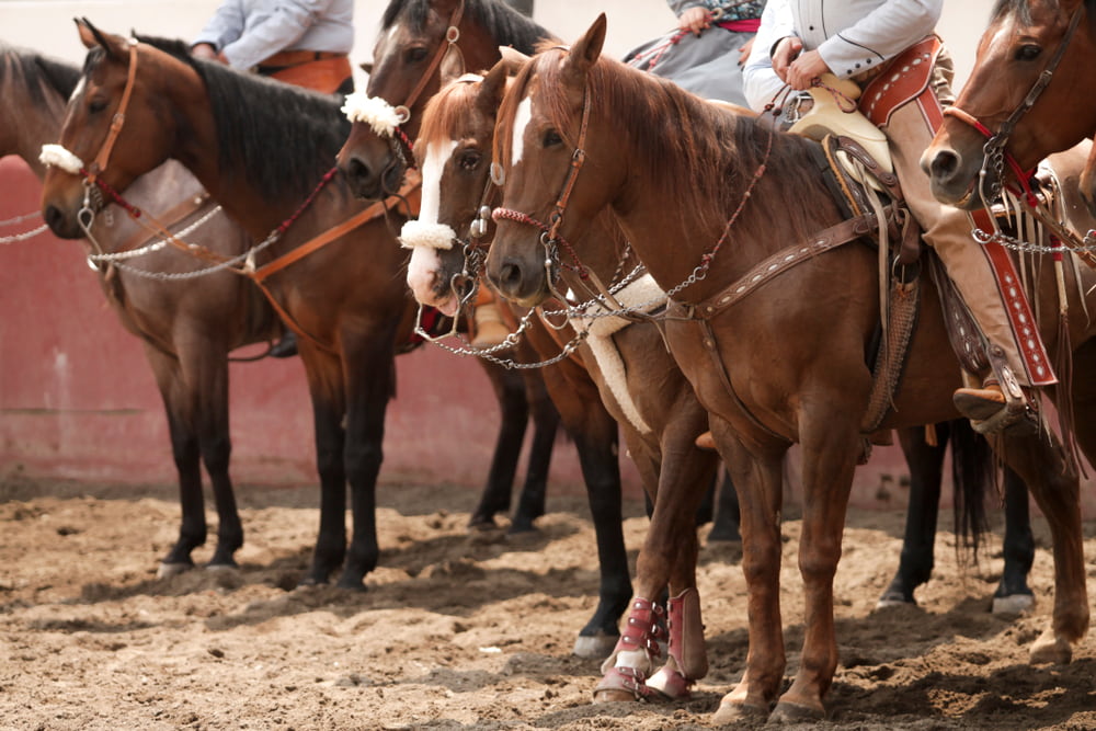 Was cowboy culture originally Mexican